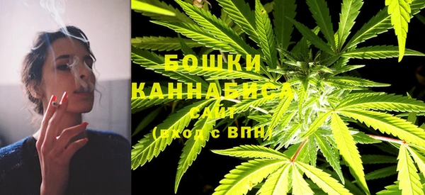 ПСИЛОЦИБИНОВЫЕ ГРИБЫ Наволоки