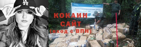 ПСИЛОЦИБИНОВЫЕ ГРИБЫ Наволоки