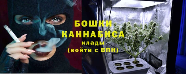 ПСИЛОЦИБИНОВЫЕ ГРИБЫ Наволоки