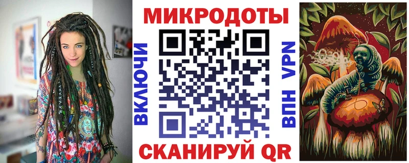 Купить  Северо-Курильск  Галлюциногенные грибы Psilocybe 